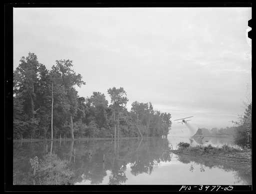 Tennessee River, Alabama (Tennessee Valley Authority (TVA)). At dawn, plane spreads insecticide on Tennessee River to destroy malaria-carrying mosquitoes