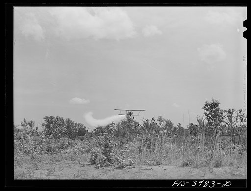 Wilson Dam, Alabama (Tennessee Valley Authority (TVA)). Spreading insecticide for malaria control