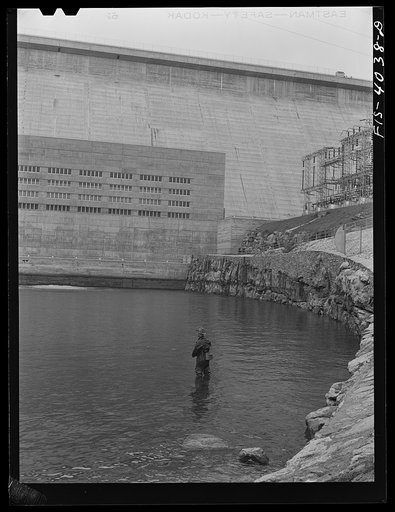 Untitled photo, possibly related to: Norris Dam, Tennessee (Tennessee Valley Authority (TVA)). Fishing at the base of Norris Dam