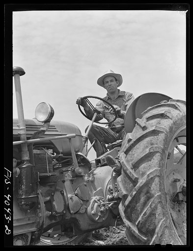 Knox County, Tennessee (Tennessee Valley Authority (TVA)). Spring plowing with a Case tractor
