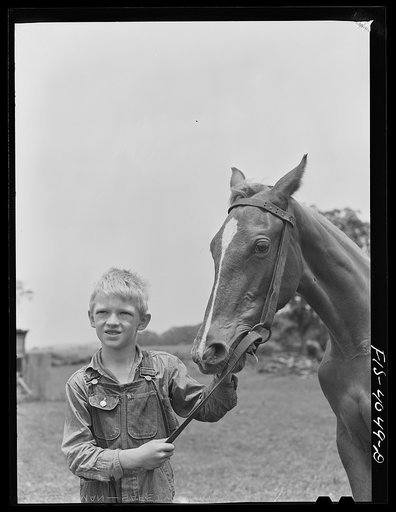 Untitled photo, possibly related to: Knox County, Tennessee (Tennessee Valley Authority (TVA)). Edie Butter, farmboy