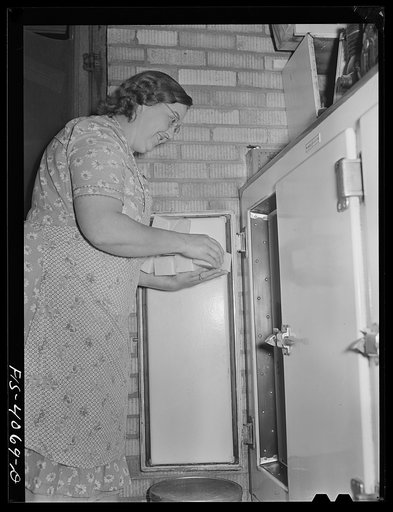 Untitled photo, possibly related to: Knox County, Tennessee (Tennessee Valley Authority (TVA)). Mrs. Robert Bacon, farm wife, with some of her electric appliances: fan, ironer, radio