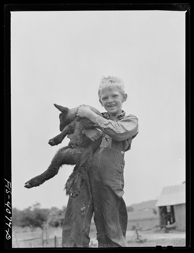Knox County, Tennessee (Tennessee Valley Authority (TVA)). Eddie Butter, farm boy, holds a lamb