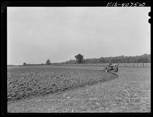 Untitled photo, possibly related to: Knox County, Tennessee (Tennessee Valley Authority (TVA)). Spring plowing. Clover is being turned over to enrich the soil, cane corn will be planted for silage