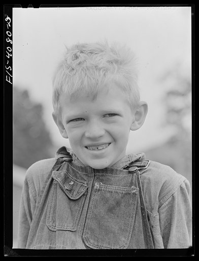 Knox County, Tennessee (Tennessee Valley Authority (TVA)). Edie Butter, farmboy