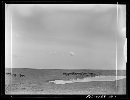 Untitled photo, possibly related to: Fort Riley, Kansas. Cavalry coming across country during a field problem