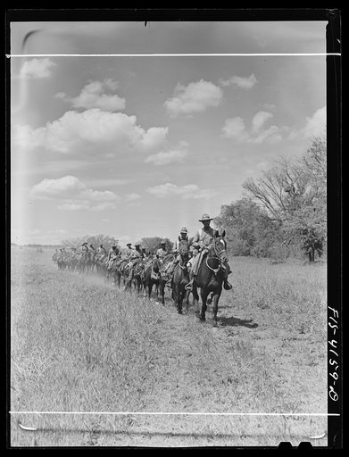 Fort Riley, Kansas. During a field problem of the cavalry