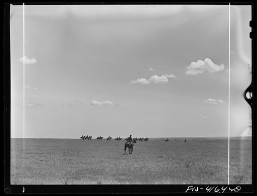 Untitled photo, possibly related to: Fort Riley, Kansas. During a field problem of the cavalry