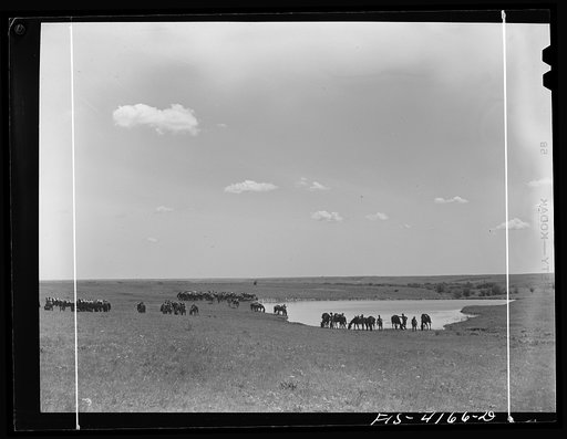 Untitled photo, possibly related to: Fort Riley, Kansas. During a field problem of the cavalry