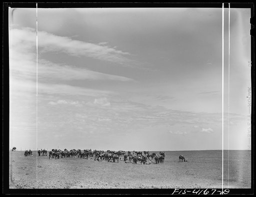 Untitled photo, possibly related to: Fort Riley, Kansas. During a field problem of the cavalry