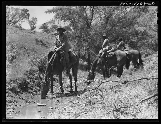 Fort Riley, Kansas. Watering the horses during a field problem of the cavalry