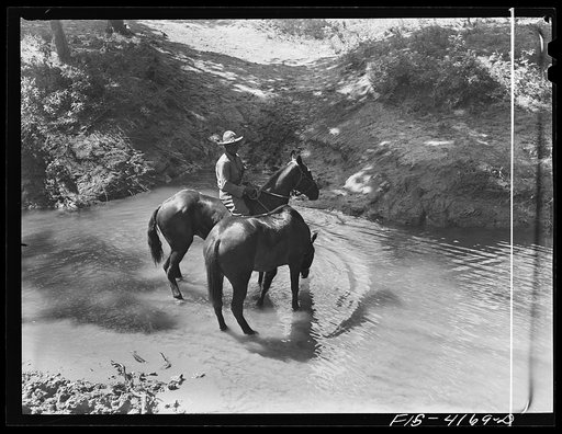 Fort Riley, Kansas. Watering the horses during a field problem of the cavalry