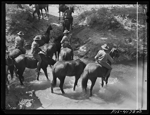Untitled photo, possibly related to: Fort Riley, Kansas. Watering the horses during a field problem of the cavalry