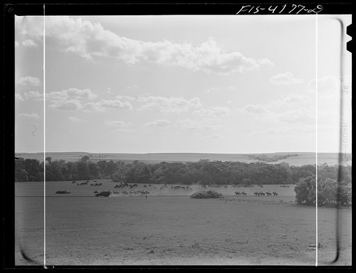 Untitled photo, possibly related to: Fort Riley, Kansas. Cavalry coming into the bivouac area during a field problem