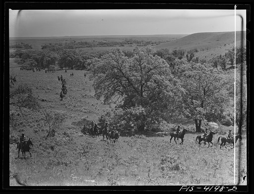 Fort Riley, Kansas. Cavalry coming across country during a field problem