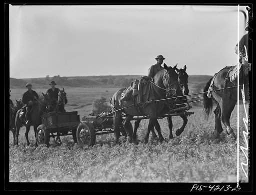Untitled photo, possibly related to: Fort Riley, Kansas. Horses being led away after guns have been set up during artillery practice