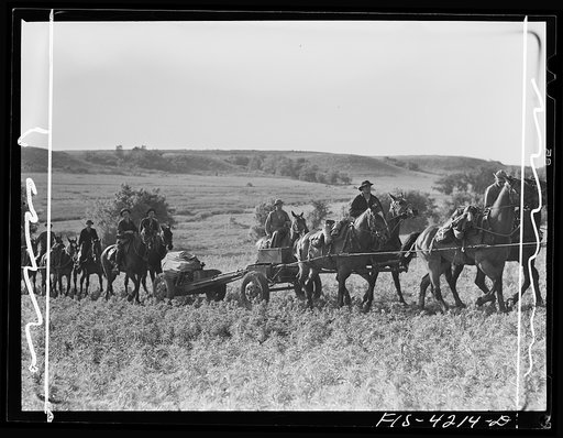 Fort Riley, Kansas. Lining up guns during artillery practice. The small thirty seven mm gun mounted on the howitzer is used only in training