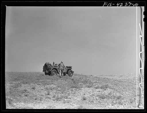 Untitled photo, possibly related to: Fort Riley, Kansas. Jeeps of a mechanized cavalry reconnaissance unit going out on a field problem