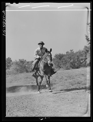 Fort Riley, Kansas. Shoeing a horse while in bivouac during a field problem of the cavalry