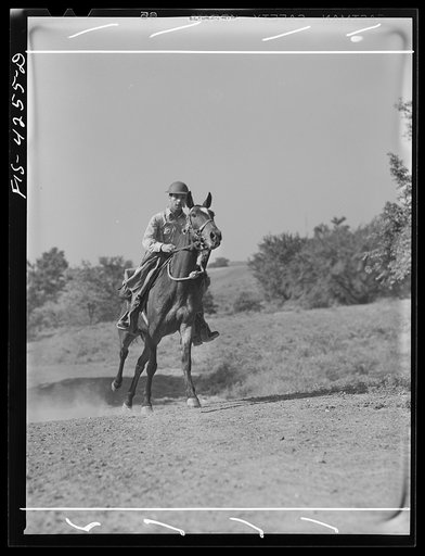 Fort Riley, Kansas. During a field problem of the cavalry