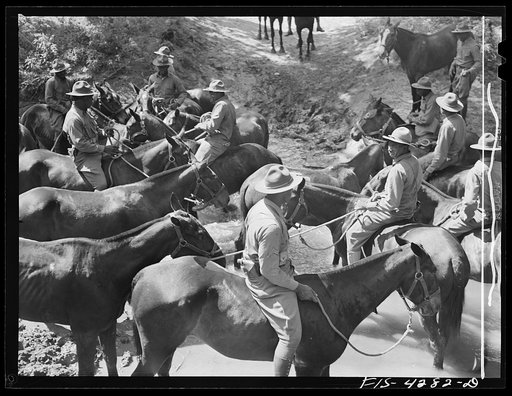 Untitled photo, possibly related to: Fort Riley, Kansas. Watering the horses during a field problem of the cavalry