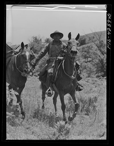 Untitled photo, possibly related to: Fort Riley, Kansas. Leading a pack horse carrying a machine gun during a sham battle