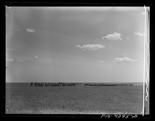 Fort Riley, Kansas. During a field problem of the cavalry