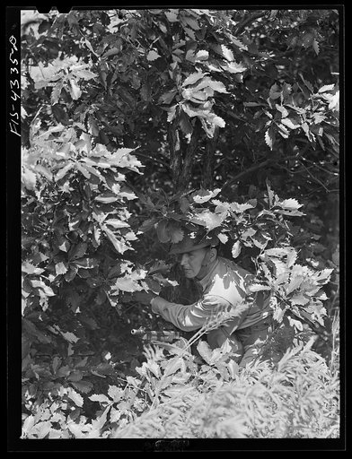 Untitled photo, possibly related to: Fort Riley, Kansas. Taking advantage of natural cover during a scouting problem of a reconnaissance unit