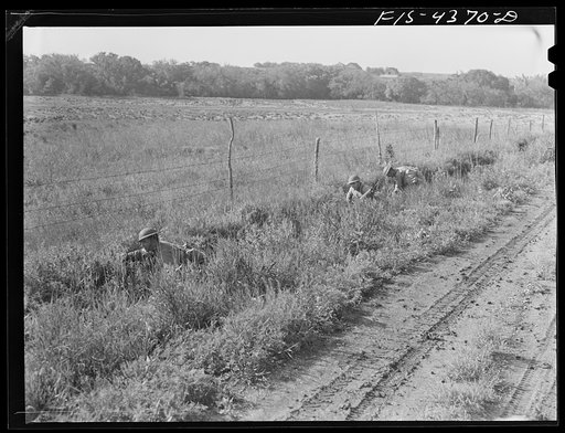 Untitled photo, possibly related to: Fort Riley, Kansas. During a field problem of a mechanized cavalry reconnaissance unit