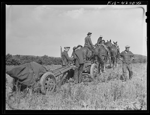 Untitled photo, possibly related to: Fort Riley, Kansas. Field artillery units about to go back to camp after a day of artillery practice