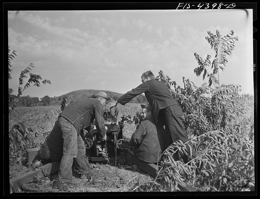 Fort Riley, Kansas. Artillery practice. Loading howitzer 75 mm gun