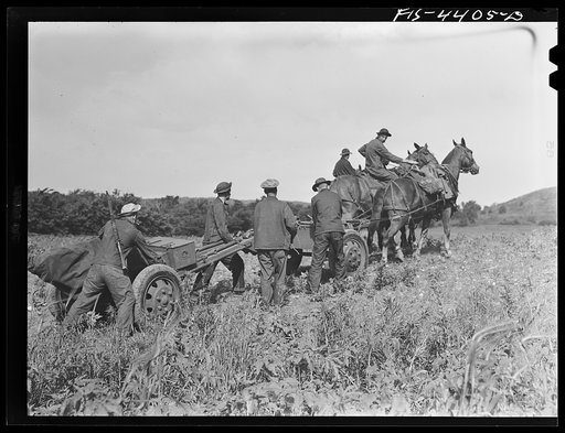 Fort Riley, Kansas. Field artillery units about to go back to camp after a day of artillery practice