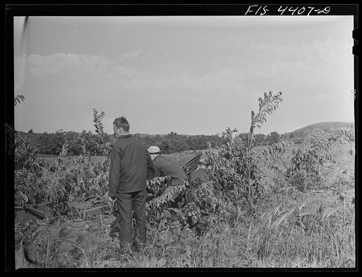 Untitled photo, possibly related to: Fort Riley, Kansas. Artillery practice. Firing howitzer 75 mm gun