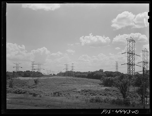 Untitled photo, possibly related to: Lauderdale County, Alabama (Tennessee Valley Authority (TVA)). Transmission lines in a cornfield