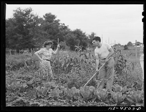 Untitled photo, possibly related to: Sheffield, Alabama (Tennessee Valley Authority (TVA)). Worker and family