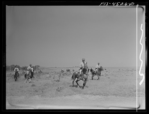 Fort Riley, Kansas. During a field problem of the cavalry