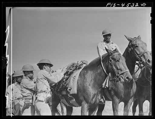 Fort Riley, Kansas. Unloading a machine gun during a sham battle