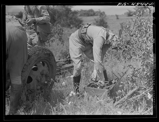 Untitled photo, possibly related to: Fort Riley, Kansas. Field artillery moving back to camp after a day of artillery practice