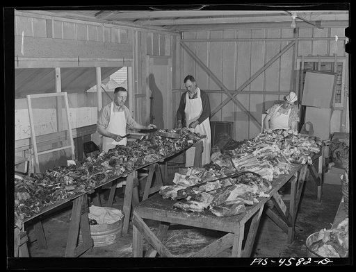 Preparing beef for barbecue dinner at the fiesta of the Holy Ghost. Santa Clara, California