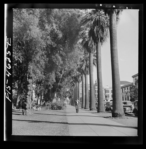 Street and park. San Jose, California