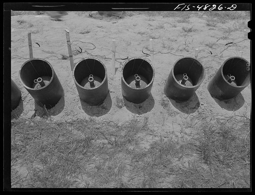 Edgewood Arsenal, Maryland. Gas demonstration. Livens projectors containing gas-filled shells ready to be fired