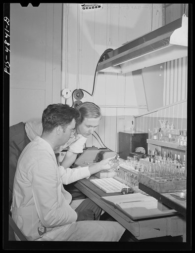 Bridgeton, New Jersey. Seabrook Farms. John Seabrook with a chemist in the laboratory making a soil analysis