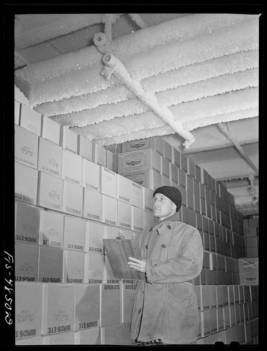 Bridgeton, New Jersey. Seabrook Farms. Belford Seabrook checking packed frozen foods in a refrigerated warehouse