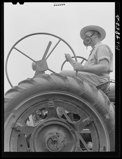 Bridgeton, New Jersey. Seabrook Farms. Operator of a bean harvester wears a dust mask during dry weather