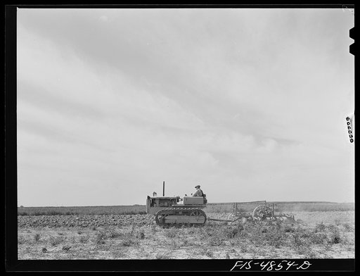 Bridgeton, New Jersey. Seabrook Farms. Plowing with diesel tractor