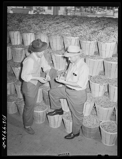 Bridgeton, New Jersey. Seabrook Farms. Belford Seabrook with an assistant