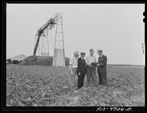 Bridgeton, New Jersey. Seabrook Farms. Mr. Seabrook and his sons in a bean field