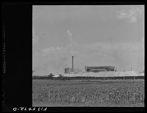 Untitled photo, possibly related to: Sheffield, Alabama. Reynolds Metal Company. Bauxite hill