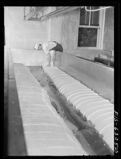 Westly, Vernon County, Wisconsin. Arvid Grimstead, cheese maker at work on cheddar cheese at the cooperative creamery