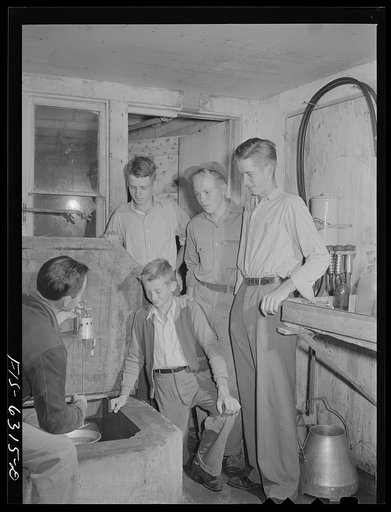 Untitled photo, possibly related to: Vernon County, Wisconsin. Robert Saugstad and other boys in a Future Farmers of America (FFA) group examining an electric stirer for cooling milk